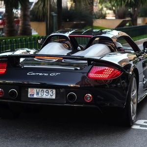 Meet your Posher, Zarlasht